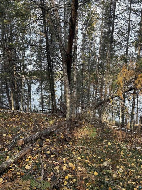 Tiny photo for 0000 Bass Lake Rd, Gilbert, MN 55741 (MLS # 6124094)