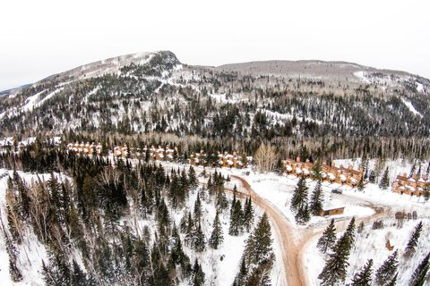 Tiny photo for 111 Bridge Run Ln #111, Lutsen, MN 55612 (MLS # 6122971)