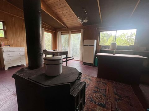 Tiny photo for 7442 Cramer Rd, Finland, MN 55603 (MLS # 6125830)