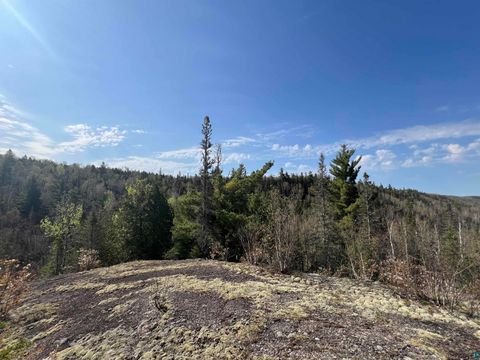 Tiny photo for 7442 Cramer Rd, Finland, MN 55603 (MLS # 6125830)