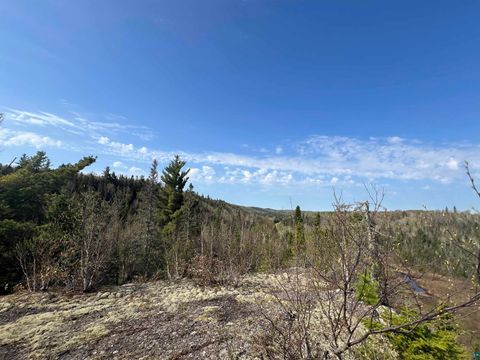 Tiny photo for 7442 Cramer Rd, Finland, MN 55603 (MLS # 6125830)