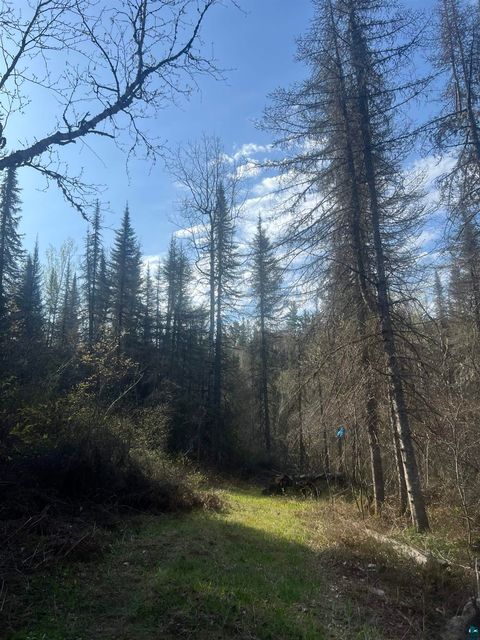 Tiny photo for 7442 Cramer Rd, Finland, MN 55603 (MLS # 6125830)