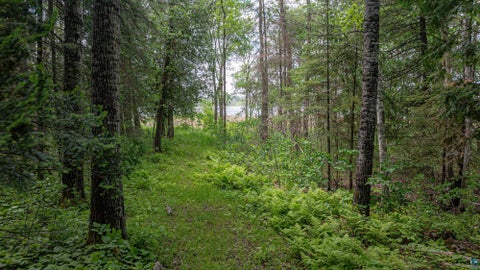 Tiny photo for 7280 Far North Rd, Buyck, MN 55772 (MLS # 6126165)