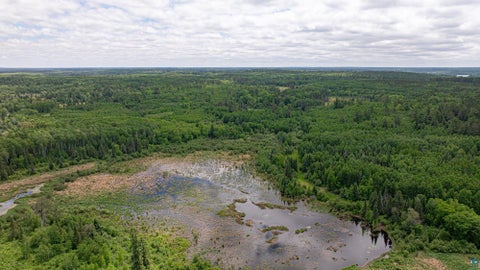 Tiny photo for 7280 Far North Rd, Buyck, MN 55772 (MLS # 6126165)