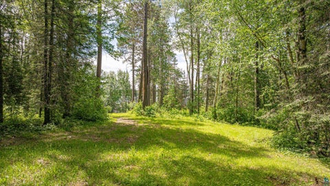 Tiny photo for 7280 Far North Rd, Buyck, MN 55772 (MLS # 6126165)