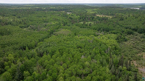Tiny photo for 7280 Far North Rd, Buyck, MN 55772 (MLS # 6126165)