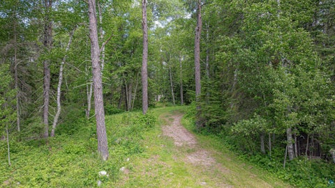 Tiny photo for 7280 Far North Rd, Buyck, MN 55772 (MLS # 6126165)