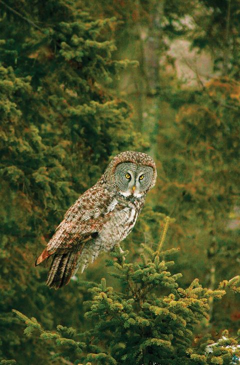 Tiny photo for 2437 Hwy 3, Two Harbors, MN 55616 (MLS # 6123511)