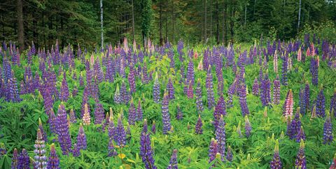 Tiny photo for 2437 Hwy 3, Two Harbors, MN 55616 (MLS # 6123511)