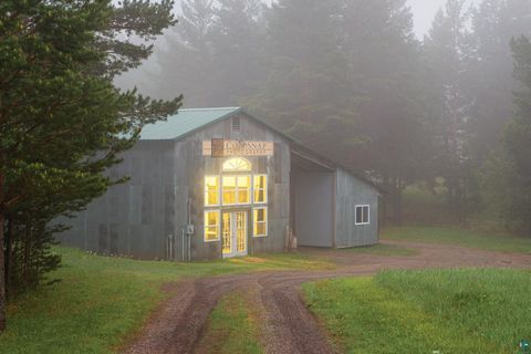 Tiny photo for 2437 Hwy 3, Two Harbors, MN 55616 (MLS # 6123511)