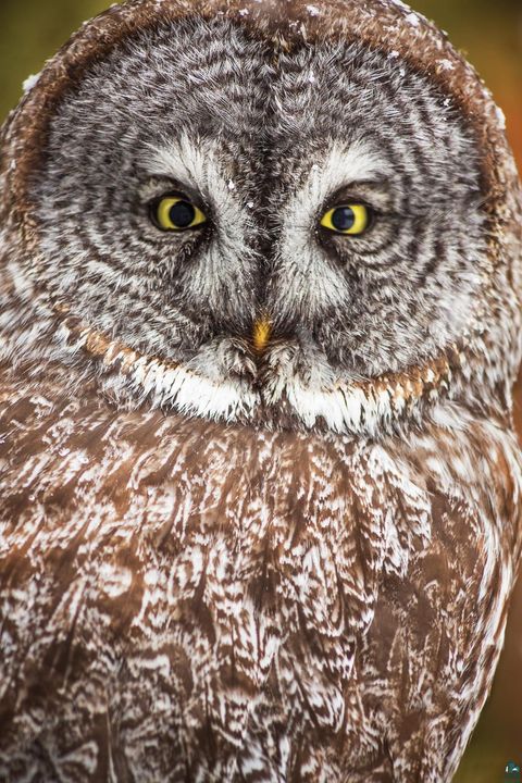 Tiny photo for 2437 Hwy 3, Two Harbors, MN 55616 (MLS # 6123511)