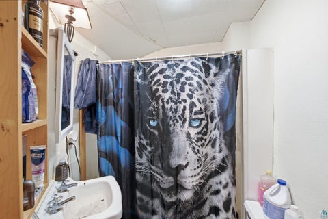 Tiny photo for 126 N 19th Ave W AVE, Duluth, MN 55807 (MLS # 6128398)