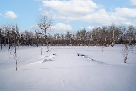 Tiny photo for 42 Stebner Rd, Hermantown, MN 55811 (MLS # 6123125)