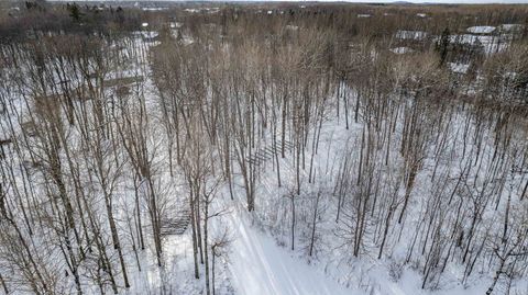 Tiny photo for 42 Stebner Rd, Hermantown, MN 55811 (MLS # 6123125)