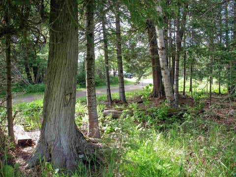 Tiny photo for 123456 E 5th St, Grand Marais, MN 55604 (MLS # 6126026)