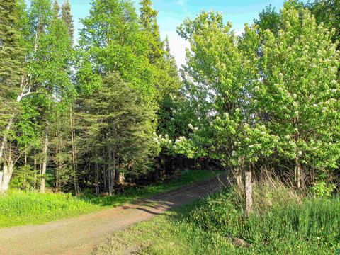 Tiny photo for 123456 E 5th St, Grand Marais, MN 55604 (MLS # 6126026)