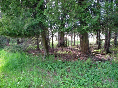 Tiny photo for 123456 E 5th St, Grand Marais, MN 55604 (MLS # 6126026)