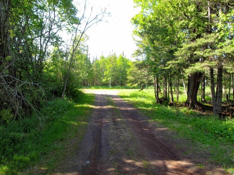 Tiny photo for 123456 E 5th St, Grand Marais, MN 55604 (MLS # 6126026)