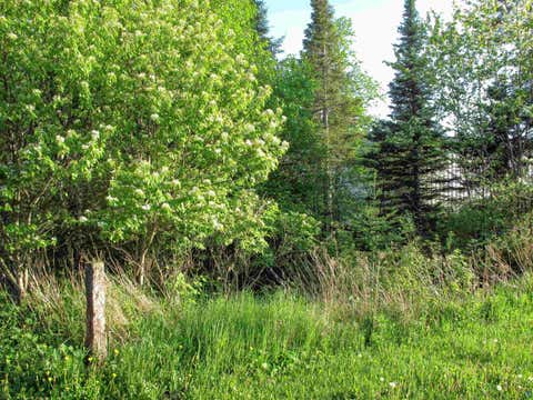 Tiny photo for 123456 E 5th St, Grand Marais, MN 55604 (MLS # 6126026)