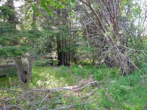 Tiny photo for 123456 E 5th St, Grand Marais, MN 55604 (MLS # 6126026)