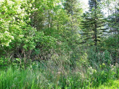 Tiny photo for 123456 E 5th St, Grand Marais, MN 55604 (MLS # 6126026)