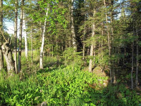Tiny photo for 123456 E 5th St, Grand Marais, MN 55604 (MLS # 6126026)
