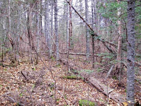 Tiny photo for 4 Devilfish Lk Access Rd, Hovland, MN 55606 (MLS # 6122628)