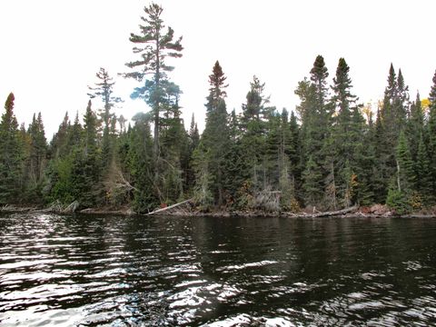 Tiny photo for 4 Devilfish Lk Access Rd, Hovland, MN 55606 (MLS # 6122628)