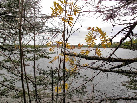 Tiny photo for 4 Devilfish Lk Access Rd, Hovland, MN 55606 (MLS # 6122628)