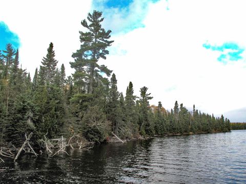 Tiny photo for 4 Devilfish Lk Access Rd, Hovland, MN 55606 (MLS # 6122628)