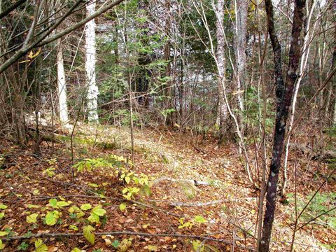 Tiny photo for 4 Devilfish Lk Access Rd, Hovland, MN 55606 (MLS # 6122628)