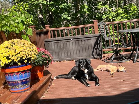 Tiny photo for 2223 Leonard St, Duluth, MN 55811 (MLS # 6123695)