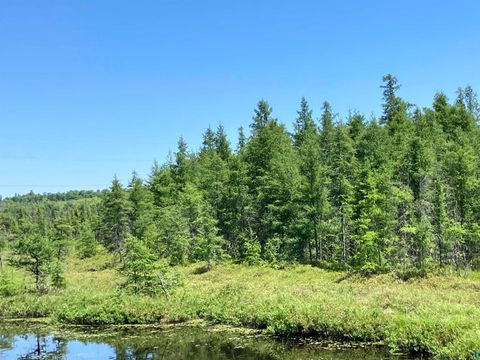 Tiny photo for TBD Little Marais Rd, Finland, MN 55603 (MLS # 6124821)