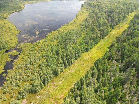 Tiny photo for TBD Little Marais Rd, Finland, MN 55603 (MLS # 6124821)