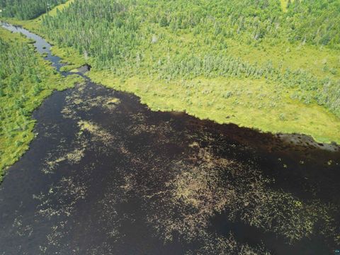 Tiny photo for TBD Little Marais Rd, Finland, MN 55603 (MLS # 6124821)