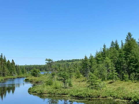 Tiny photo for TBD Little Marais Rd, Finland, MN 55603 (MLS # 6124821)