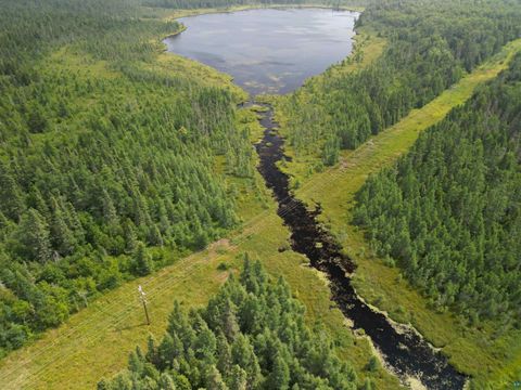 Tiny photo for TBD Little Marais Rd, Finland, MN 55603 (MLS # 6124821)