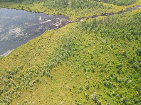 Tiny photo for TBD Little Marais Rd, Finland, MN 55603 (MLS # 6124821)