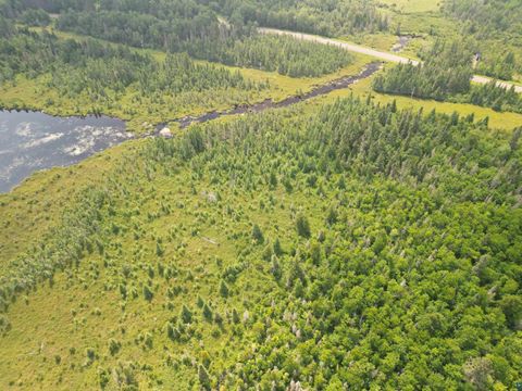 Tiny photo for TBD Little Marais Rd, Finland, MN 55603 (MLS # 6124821)