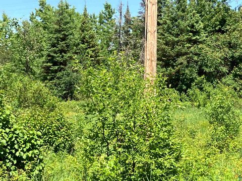 Tiny photo for TBD Little Marais Rd, Finland, MN 55603 (MLS # 6124821)