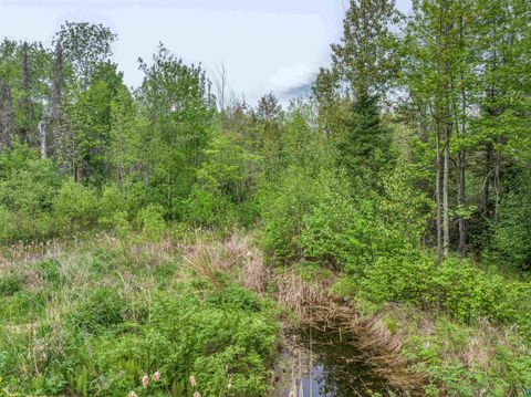 Tiny photo for 1152 Fernberg Rd, Ely, MN 55731 (MLS # 6125843)