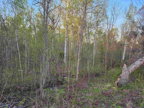 Tiny photo for 18 Snowshoe Tr, Tofte, MN 55615 (MLS # 6125563)