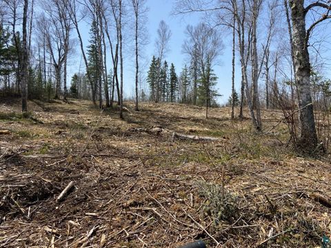 Tiny photo for 210214 N Bear Lake Rd, Brimson, MN 55602 (MLS # 6125414)