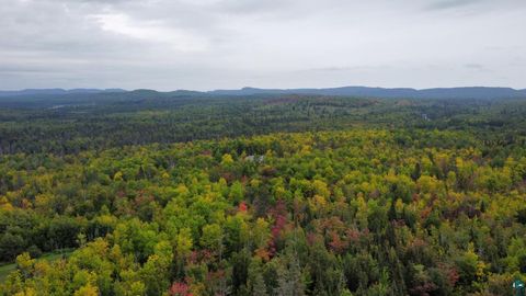 Tiny photo for 6527 Highway 1, Finland, MN 55603 (MLS # 6125320)