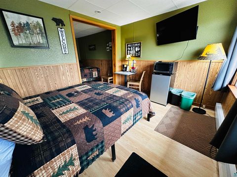 Tiny photo for 6527 Highway 1, Finland, MN 55603 (MLS # 6125320)