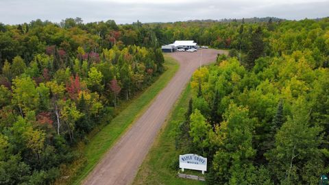 Tiny photo for 6527 Highway 1, Finland, MN 55603 (MLS # 6125320)