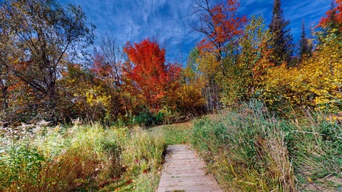 Tiny photo for 40 Maple Hill Dr, Grand Marais, MN 55604 (MLS # 6128437)