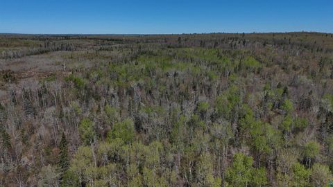 Tiny photo for 4715 Hefflefinger Rd, Finland, MN 55603 (MLS # 6125631)