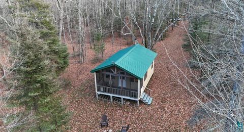 Tiny photo for 4715 Hefflefinger Rd, Finland, MN 55603 (MLS # 6125631)
