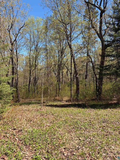 Tiny photo for 4715 Hefflefinger Rd, Finland, MN 55603 (MLS # 6125631)